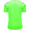 hummel Authentic Polyester kurzarm Trikot Kinder green gecko 128
