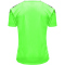 hummel Authentic Polyester kurzarm Trikot Kinder green gecko 164