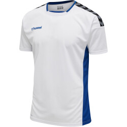hummel Authentic Polyester kurzarm Trikot Kinder...