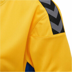 hummel Authentic Polyester kurzarm Trikot Damen sports yellow/true blue XXL