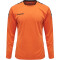 hummel Authentic Polyester langarm Trikot Kinder tangerine 116