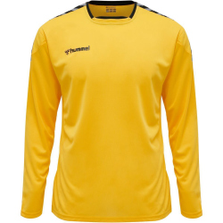 hummel Authentic Polyester langarm Trikot Kinder sports yellow/black 116