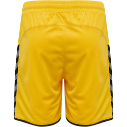 hummel Authentic Polyester Shorts Herren sports...