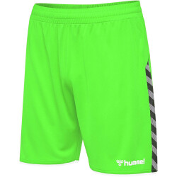 hummel Authentic Polyester Shorts Herren green gecko L