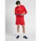 hummel Authentic 1/2-Zip Sweatshirt Herren true red S