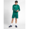 hummel Authentic 1/2-Zip Sweatshirt Herren evergreen XXL