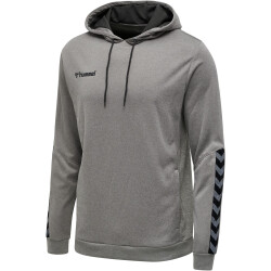 hummel Authentic Polyester Hoodie grey melange S