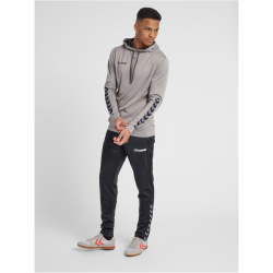 hummel Authentic Polyester Hoodie grey melange XXL
