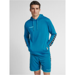 hummel Authentic Polyester Hoodie celestial M