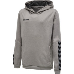 hummel Authentic Polyester Hoodie Kinder grey melange 116