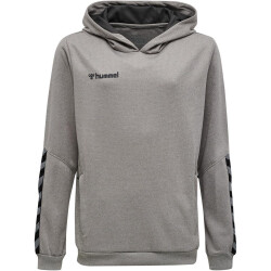 hummel Authentic Polyester Hoodie Kinder grey melange 116