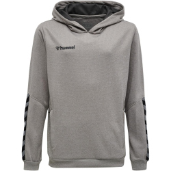 hummel Authentic Polyester Hoodie Kinder grey melange 128