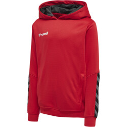 hummel Authentic Polyester Hoodie Kinder true red 116