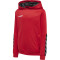 hummel Authentic Polyester Hoodie Kinder true red 140