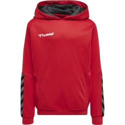 hummel Authentic Polyester Hoodie Kinder true red 164
