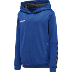 hummel Authentic Polyester Hoodie Kinder true blue 116