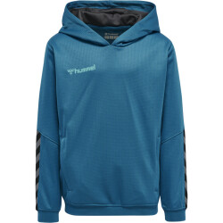 hummel Authentic Polyester Hoodie Kinder celestial 116