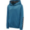 hummel Authentic Polyester Hoodie Kinder celestial 116