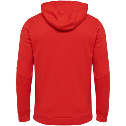 hummel Authentic Polyester Kapuzenjacke Herren true red S