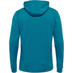 hummel Authentic Kinder Polyester Kapuzenjacke celestial 116