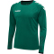 hummel Core Torwart Set Torwarttrikot+Torwartshorts Herren evergreen S
