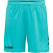 hummel Core Torwart Set Torwarttrikot+Torwartshorts Herren scuba blue XL
