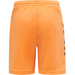 hummel Core Torwart Set Torwarttrikot+Torwartshorts Kinder tangerine 116