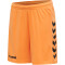 hummel Core Torwart Set Torwarttrikot+Torwartshorts Kinder tangerine 116