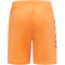 hummel Core Torwart Set Torwarttrikot+Torwartshorts Kinder tangerine 116