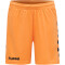 hummel Core Torwart Set Torwarttrikot+Torwartshorts Kinder tangerine 116