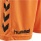 hummel Core Torwart Set Torwarttrikot+Torwartshorts Kinder tangerine 116