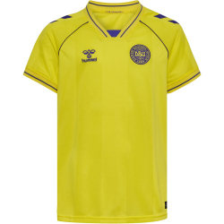 hummel DBU Dänemark kurzarm Torwarttrikot 2026 Kinder