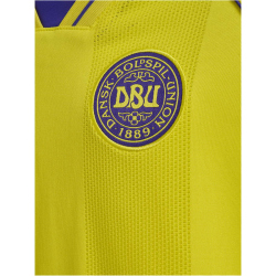 hummel DBU Dänemark kurzarm Torwarttrikot 2026 Kinder