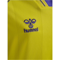 hummel DBU Dänemark kurzarm Torwarttrikot 2026 Kinder