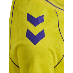 hummel DBU Dänemark kurzarm Torwarttrikot 2026 Kinder