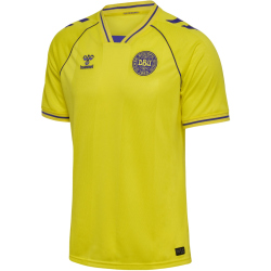 hummel DBU Dänemark kurzarm Torwarttrikot 2026