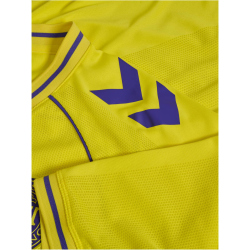 hummel DBU Dänemark kurzarm Torwarttrikot 2026