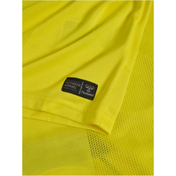 hummel DBU Dänemark kurzarm Torwarttrikot 2026