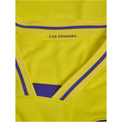 hummel DBU Dänemark kurzarm Torwarttrikot 2026