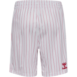 hummel DBU Dänemark Auswärtsshorts 2026 Kinder