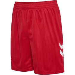 hummel DBU Dänemark Auswärtsshorts 2026
