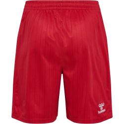 hummel DBU Dänemark Auswärtsshorts 2026