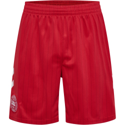hummel DBU Dänemark Auswärtsshorts 2026