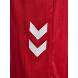hummel DBU Dänemark Auswärtsshorts 2026