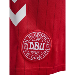 hummel DBU Dänemark Auswärtsshorts 2026