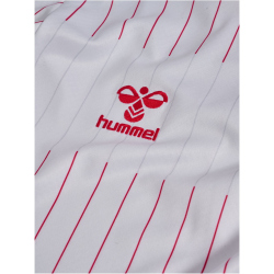 hummel DBU Dänemark langarm Auswärtstrikot 2026