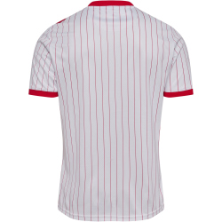 hummel DBU Dänemark Auswärtstrikot 2026