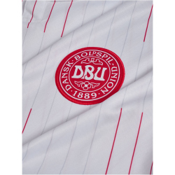 hummel DBU Dänemark Auswärtstrikot 2026