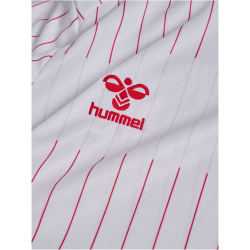hummel DBU Dänemark Auswärtstrikot 2026