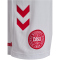 hummel DBU Dänemark Heimshorts 2026 Kinder